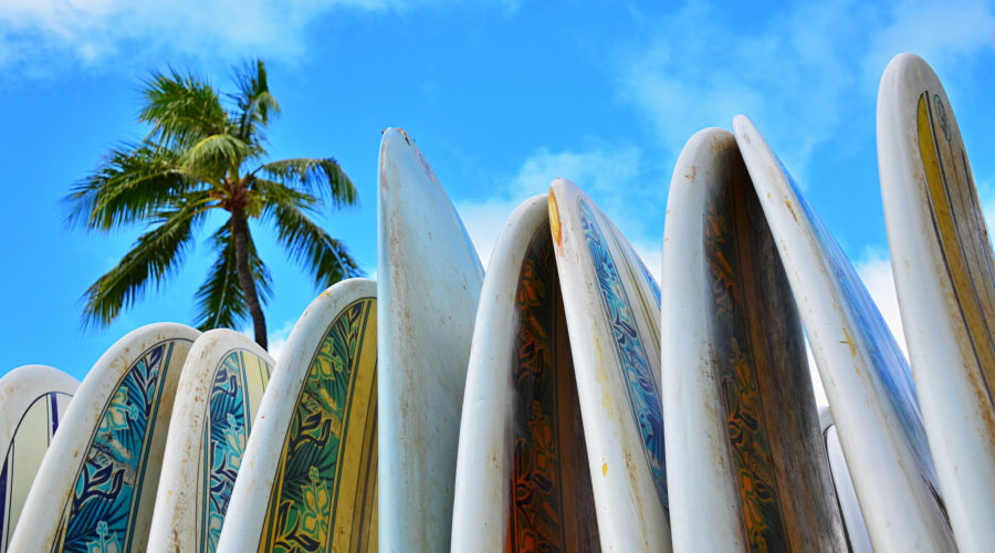 Hawaiian surf boards standing