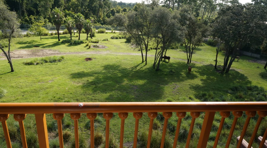 Animal Kingdom Lodge