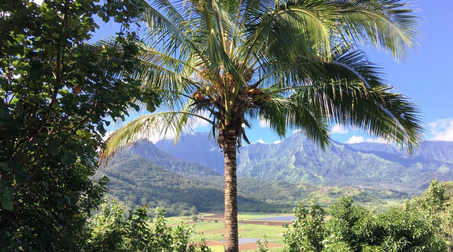 Mountain range in Hawaii