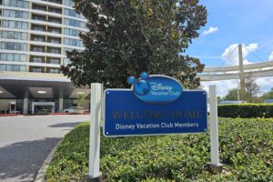 Everything You Need To Know About DVC