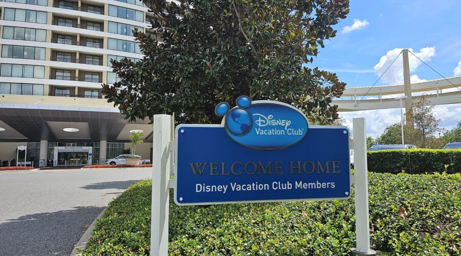 Everything You Need To Know About DVC